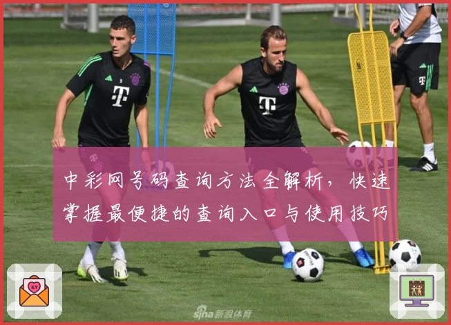 中彩网号码查询方法全解析,快速掌握最便捷的查询入口与使用技巧