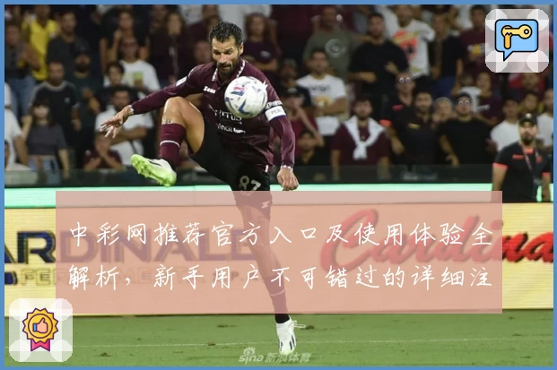 中彩网推荐官方入口及使用体验全解析，新手用户不可错过的详细注册教程