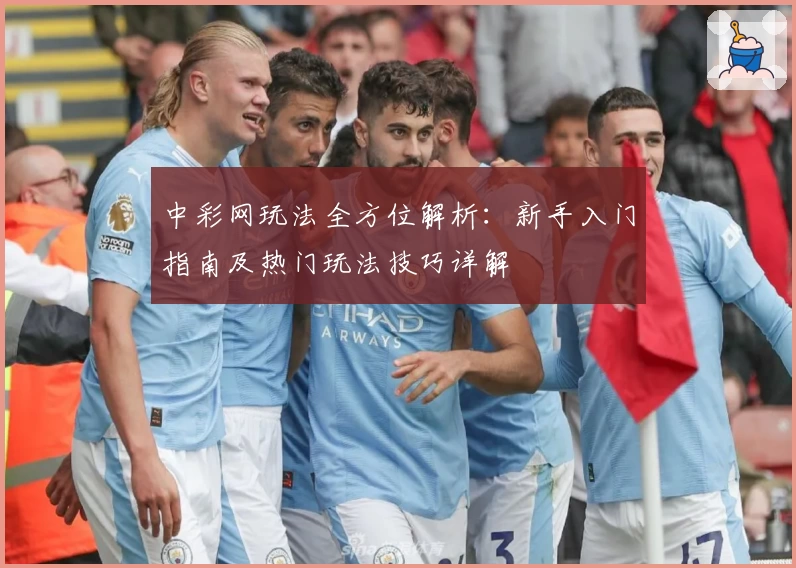 中彩网玩法全方位解析：新手入门指南及热门玩法技巧详解