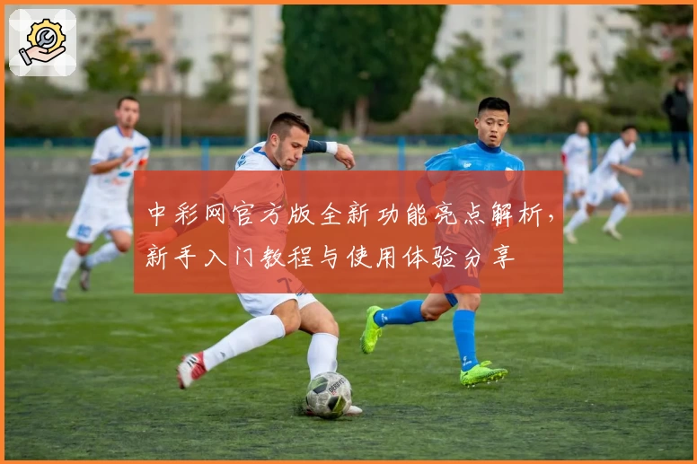 中彩网官方版全新功能亮点解析，新手入门教程与使用体验分享