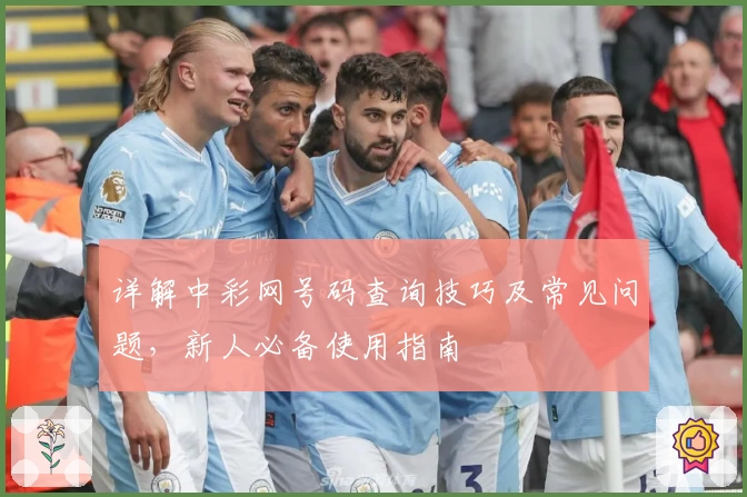 详解中彩网号码查询技巧及常见问题，新人必备使用指南
