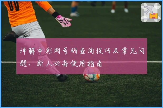 详解中彩网号码查询技巧及常见问题，新人必备使用指南
