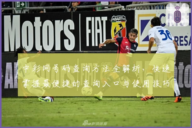 中彩网号码查询方法全解析，快速掌握最便捷的查询入口与使用技巧