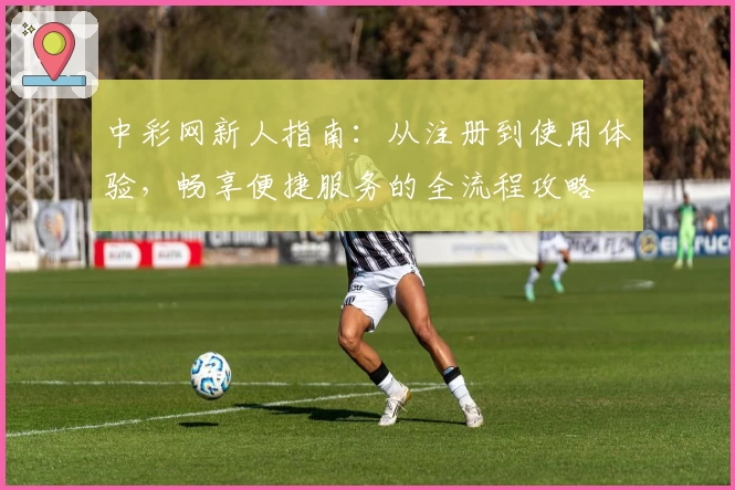 中彩网新人指南：从注册到使用体验，畅享便捷服务的全流程攻略