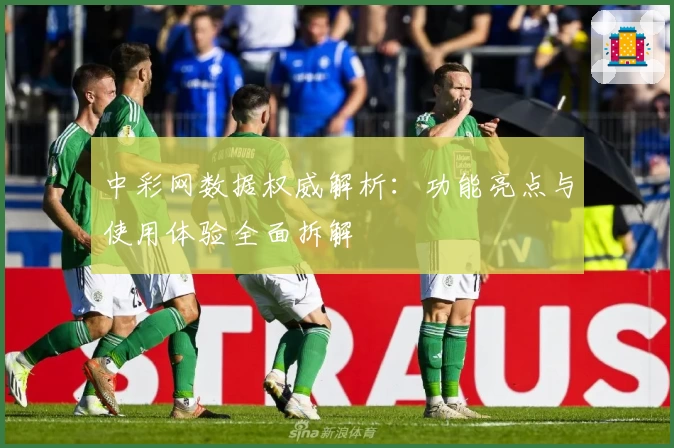 中彩网数据权威解析：功能亮点与使用体验全面拆解